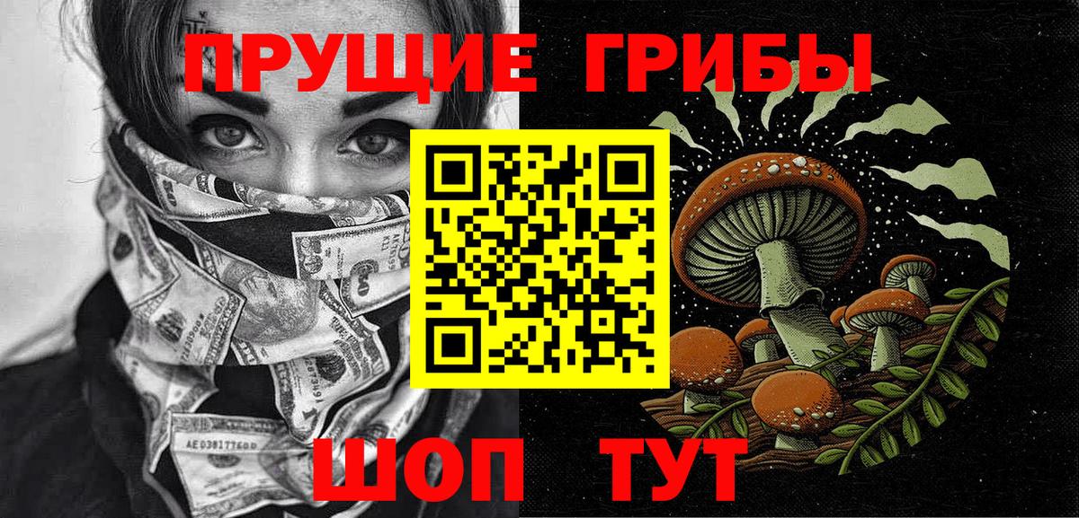 Галлюциногенные грибы Psilocybe Светлоград